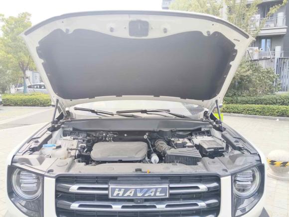 [宁波·浙B] 二手哈弗哈弗大狗2022款 1.5T DCT两驱边牧版