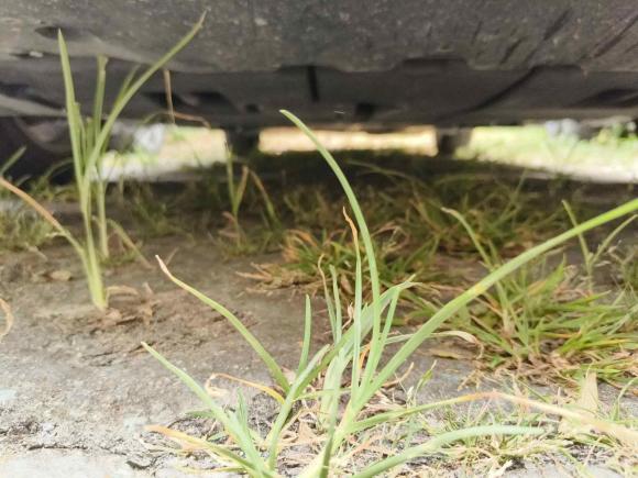 [上海·沪C] 二手丰田亚洲狮2021款 2.0L 豪华版