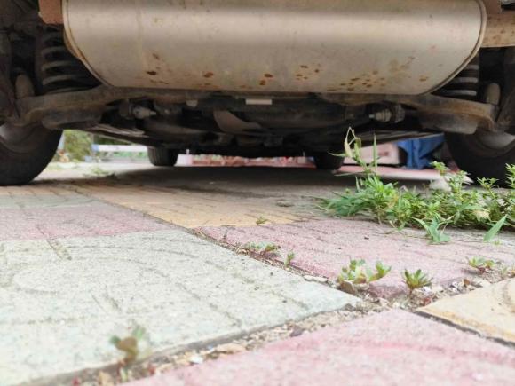 [济南·鲁A] 二手福特福克斯2018款 两厢经典 1.6L 自动舒适型智行版