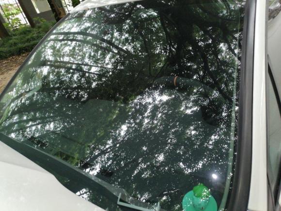 [上海·闽F] 二手雪铁龙雪铁龙C4L2014款 1.8L 智驱版 自动劲智型