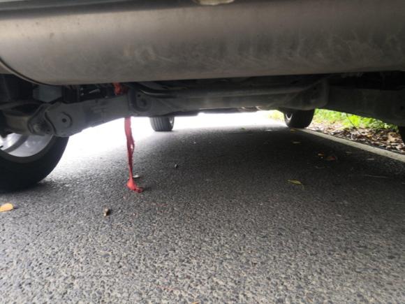 [嘉兴·浙F] 二手哈弗哈弗F7x2021款 1.5T 两驱极智科技版