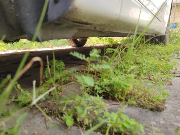 [广州·湘J] 二手雪佛兰科鲁兹2015款 1.5L 经典 SE AT