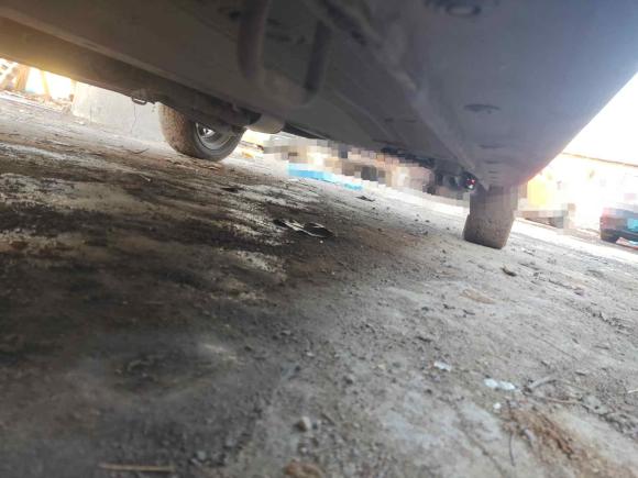 [济南·鲁S] 二手铃木奥拓2009款 1.0L 自动豪华型