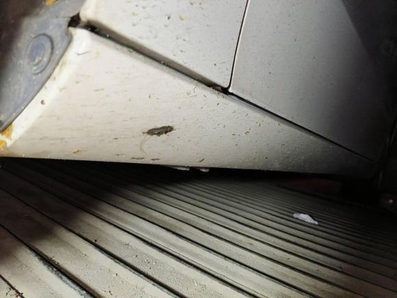 [合肥·皖A] 二手奔驰奔驰B级2021款 B 200 时尚型