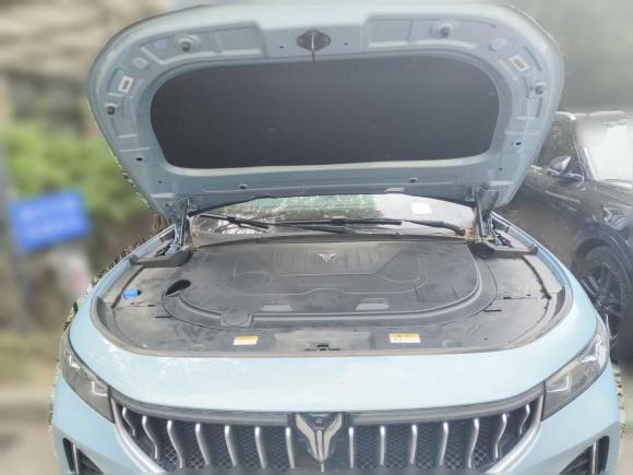 [武汉·鄂A] 二手岚图汽车岚图FREE2021款 四驱标准增程专属豪华套装