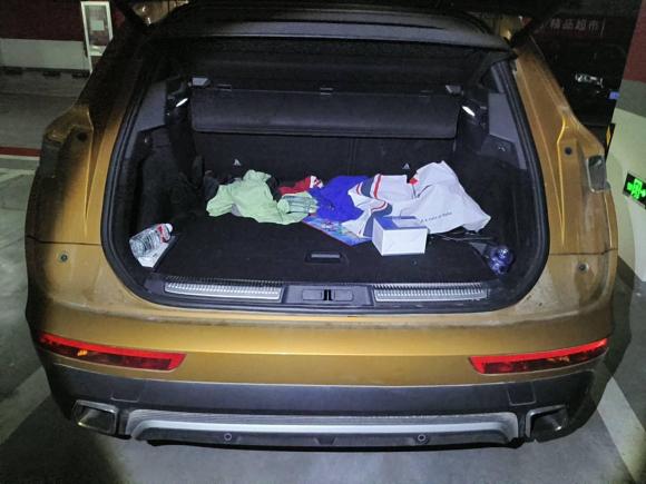 [上海·沪A] 二手DSDS 72018款 45THP 歌剧院版