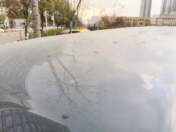 [武汉·鄂L] 二手猎豹汽车黑金刚2013款 2.2L 手动两驱标准型