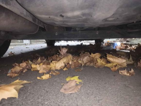 [武汉·鄂W] 二手日产骊威2010款 劲悦版 1.6L 手动超能型