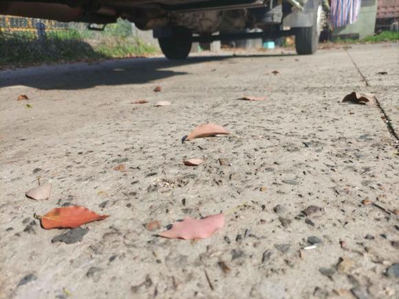 [上海·浙A] 二手长安凯程长安神骐T202020款 1.5L T20L国VI标准版双排DAM15KR