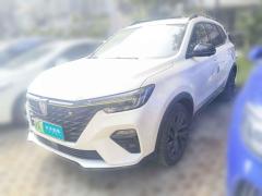 [上海·沪A] 荣威荣威RX5新能源2020款 ePLUS 国潮荣麟豪华版