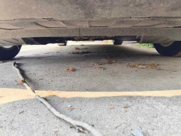 [上海·苏E] 二手别克君威2019款 20T 豪华型 国V