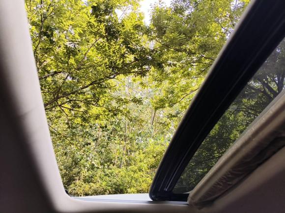 [苏州·苏E] 二手比亚迪宋MAX2019款 1.5T 自动智联睿逸天窗型 6座 国V