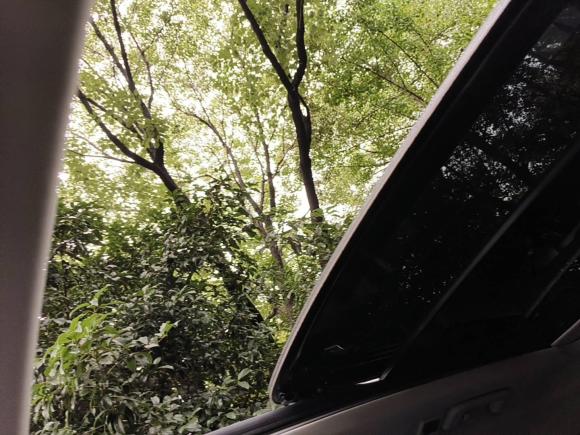 [嘉兴·苏B] 二手领克领克012021款 2.0TD 两驱型Pro