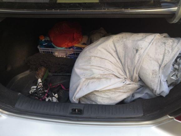 [青岛·鲁B] 二手日产颐达2008款 1.6L 自动智能型