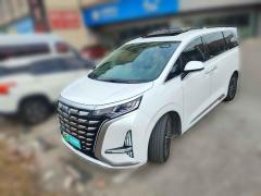 [南通·苏F] 腾势腾势D92022款DM-i1040尊贵型