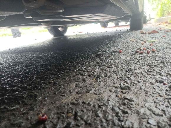 [深圳·粤S] 二手宝骏宝骏3602018款 1.5L 手动精英型 国V