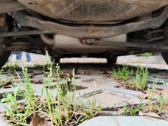 [义乌·浙G] 二手别克英朗2013款 GT 1.6L 自动舒适版