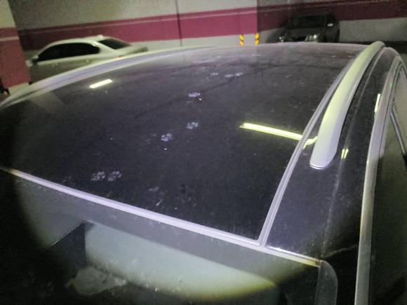 [上海·沪A] 二手大众ID.4 X2022款 纯净智享版