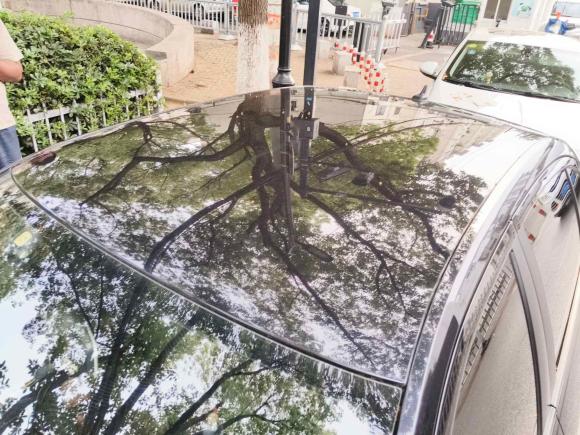 [苏州·苏E] 二手大众朗逸2015款 1.6L 手动风尚版