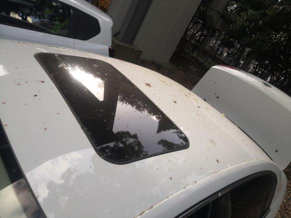 [上海·苏E] 二手大众迈腾2015款 改款 1.8TSI 豪华型