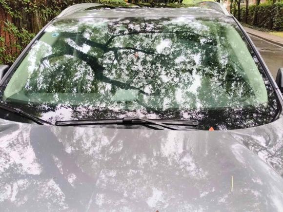 [上海·沪M] 二手讴歌讴歌RDX2019款 2.0T 智享版SH-AWD 国VI