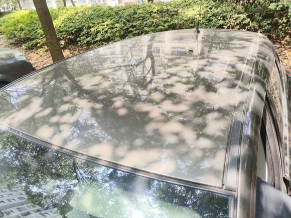 [上海·沪C] 二手日产逍客2016款 2.0L CVT精英版