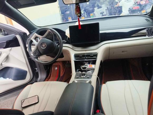 [嘉兴·浙F] 二手比亚迪宋PLUS新能源2021款 EV 尊贵型