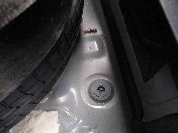 [苏州·赣G] 二手大众朗逸2018款 1.5L 自动风尚版 国V