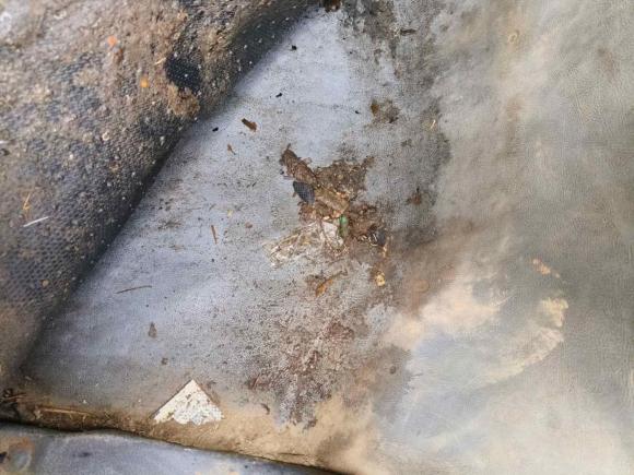 [合肥·皖A] 二手福田祥菱V2018款 1.2L 半承载3170轴距双排(厢车)4W12M1