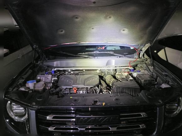 [合肥·皖A] 二手哈弗哈弗大狗2022款 2.0T DCT四驱哮天犬版