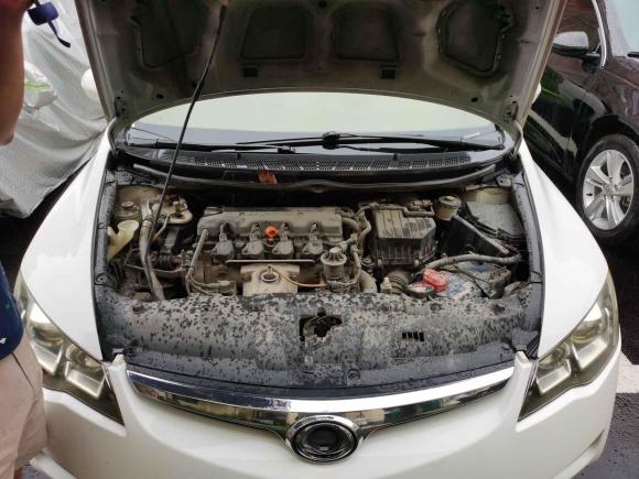 [上海·浙B] 二手思铭思铭2012款 1.8L 自动