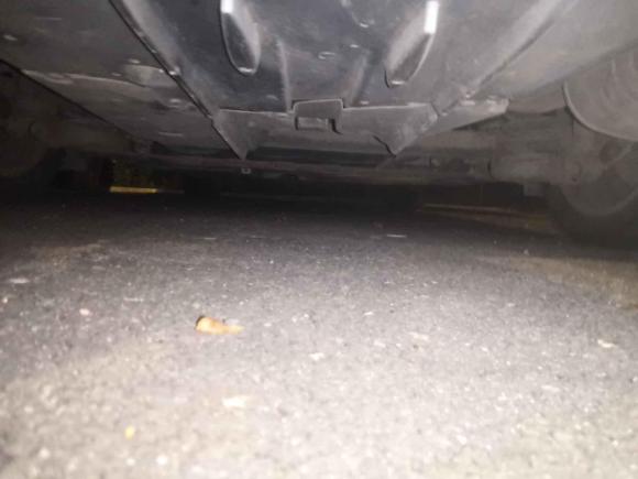 [青岛·鲁B] 二手丰田卡罗拉2016款 双擎 1.8L E-CVT精英版