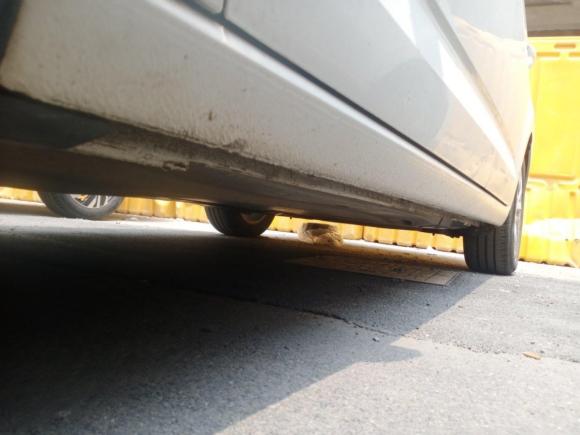 [上海·苏F] 二手大众途安2018款 途安L 280TSI DSG舒适版 7座 国V