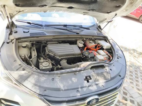 [青岛·鲁B] 二手比亚迪唐新能源2018款 DM 2.0T 全时四驱智联创享型 7座 国V