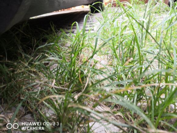 [南京·苏A] 二手别克林荫大道2009款 2.8 精英型