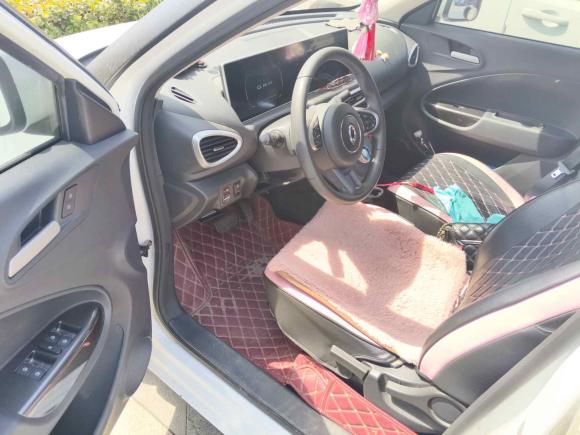 [常州·苏D] 二手欧拉欧拉白猫2020款 360km 豪华型