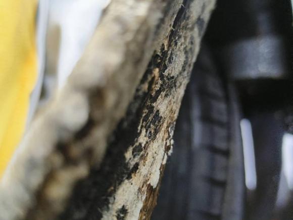 [上海·苏E] 二手别克君威2014款 2.4L SIDI精英时尚型