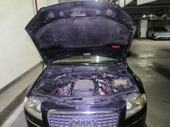 [上海·沪A] 二手奥迪奥迪A82009款 A8L 2.8 FSI 标准型