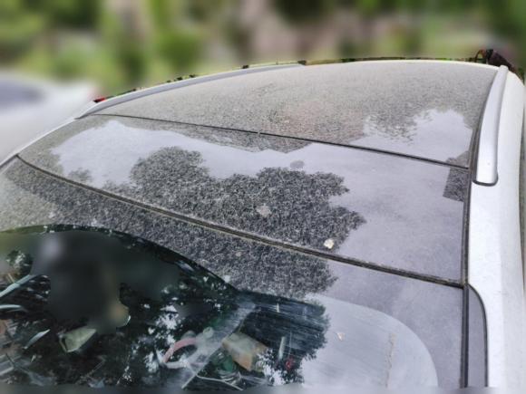 [上海·苏E] 二手哈弗哈弗F52020款 1.5T DCT i型