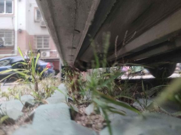 [无锡·豫N] 二手现代瑞纳2010款 三厢 1.4L 自动舒适型GS