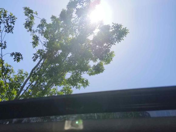 [青岛·鲁B] 二手马自达马自达52011款 2.0L 自动舒适型