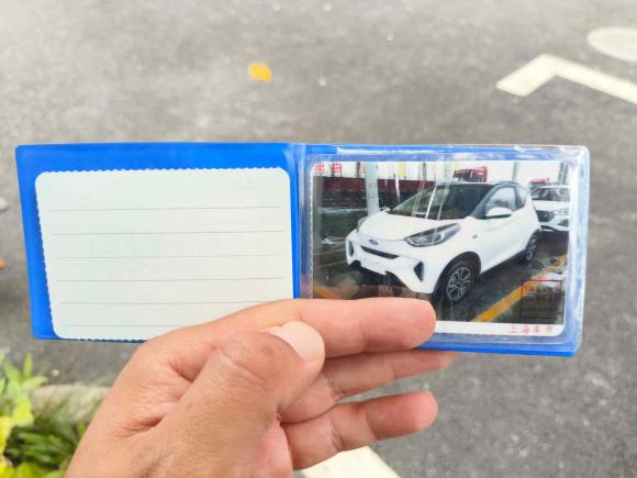 [上海·沪A] 二手奇瑞小蚂蚁2021款 15万蚁粉款 蚁炫版 磷酸铁锂