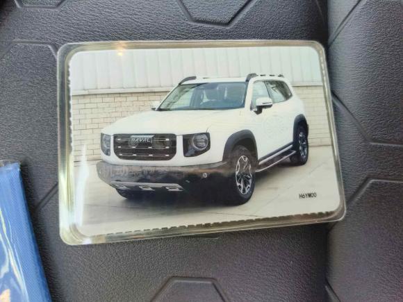 [合肥·皖A] 二手哈弗哈弗大狗2021款 2.0T DCT四驱中华田园犬版