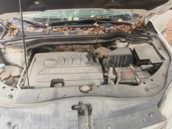 [南昌·赣A] 二手哈弗哈弗H62015款 改款 运动版 1.5T 手动两驱精英型