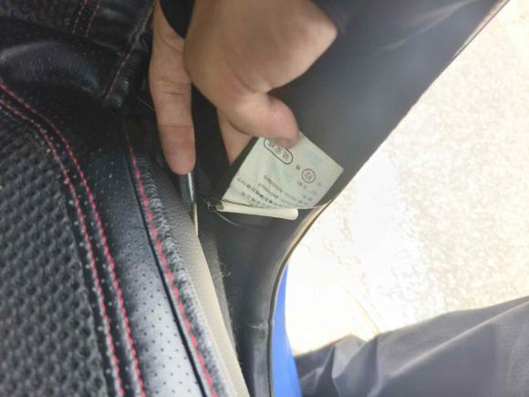 [广州·粤A] 二手九龙九龙EM32020款 长续航型 41KWh