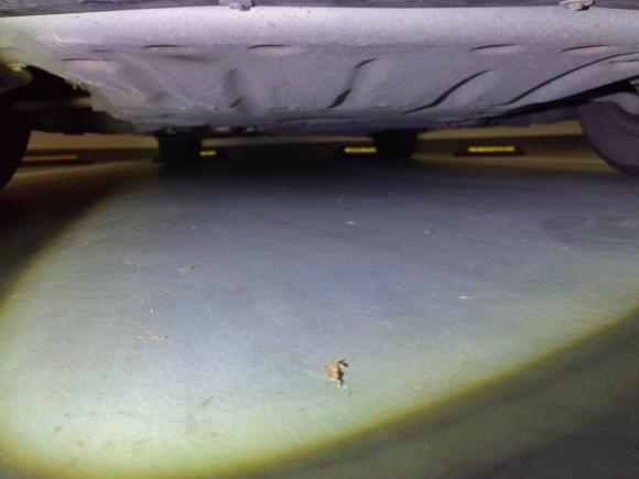 [上海·沪A] 二手宝马宝马3系2014款 320i 时尚型