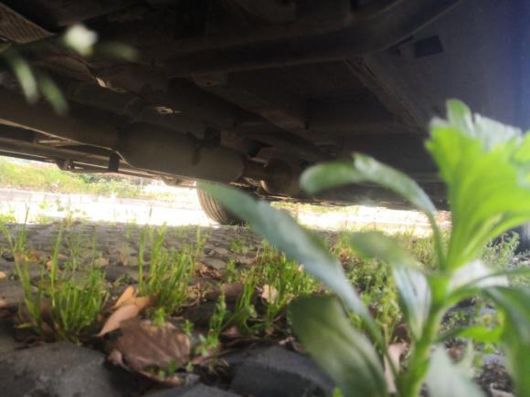 [嘉兴·浙F] 二手长安长安CS552019款 1.5T 手动炫色型 国VI