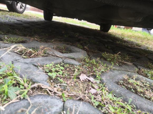 [湖州·浙E] 二手铃木奥拓2009款 1.0L 自动豪华型