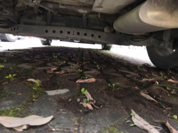 [温州·浙C] 二手荣威荣威i52019款 1.5L 手动4G互联朗豪版