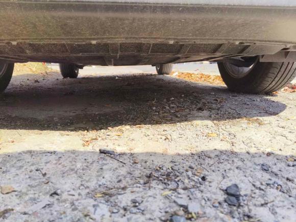 [上海·苏U] 二手日产逍客2022款 2.0L CVT XV智享版